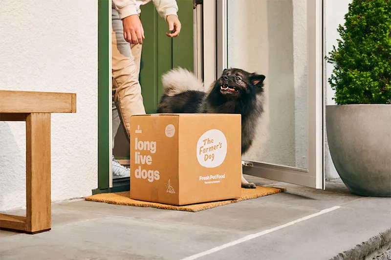 Viral-Ready Unboxing Pet Abonnement bølgede æsker